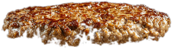 Burger onion
