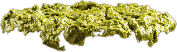 Burger pickle