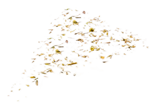 Pizza layer